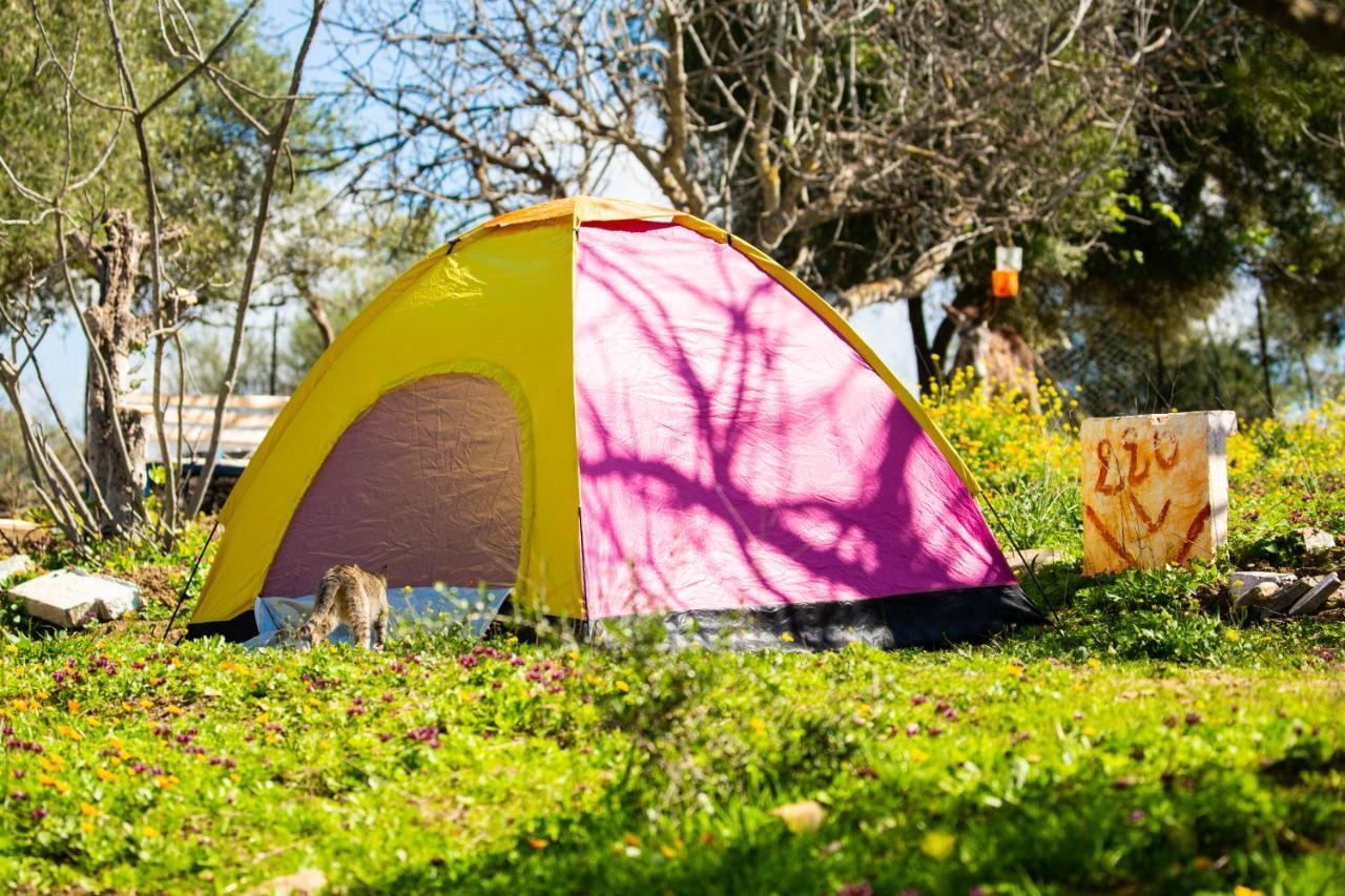 Camping Panorama Hotel Ouazzane Ngoại thất bức ảnh