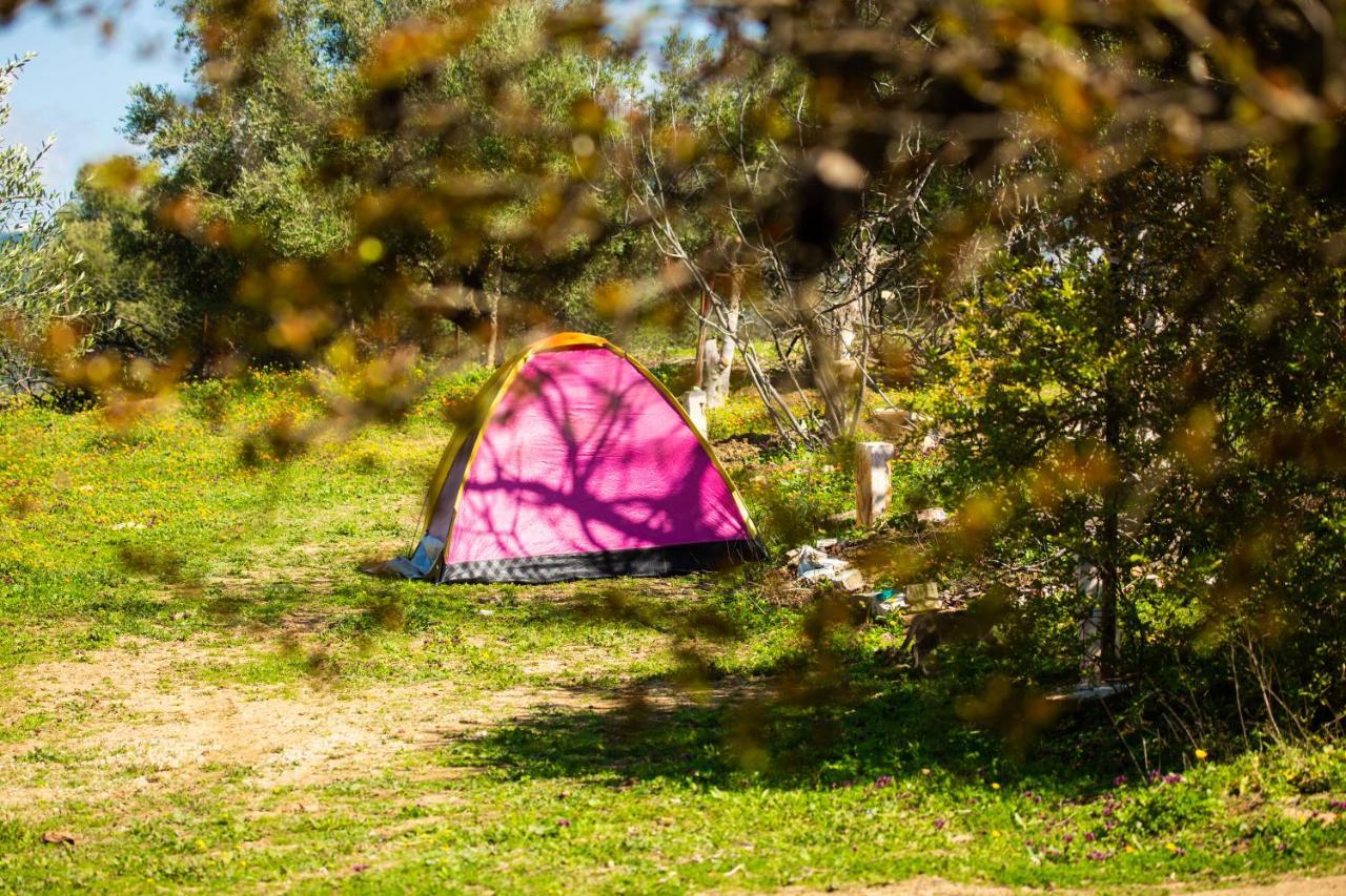 Camping Panorama Hotel Ouazzane Ngoại thất bức ảnh